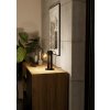 Illuminazione Eglo PLIMSOLL Lampada da tavolo Nero, 1-Luce