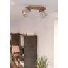 Illuminazione Eglo CAWTON Plafoniera, Faretto da soffitto Marrone, Acciaio satinato, 2-Luci