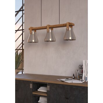 Illuminazione Eglo CAWTON Lampadario a sospensione Marrone, Acciaio satinato, 3-Luci