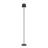 Illuminazione Eglo MANNERA-L Lampada da terra LED Nero, 1-Luce, Telecomando, Cambia colore