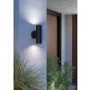 Illuminazione Eglo TOMELLOSO Applique Nero, 2-Luci