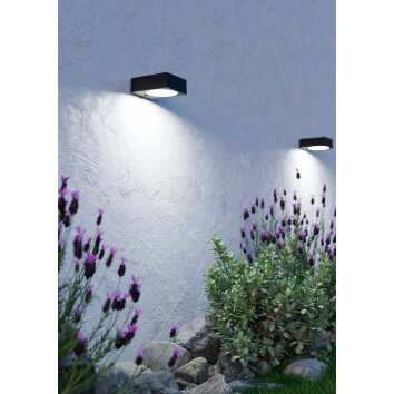 Illuminazione Eglo DARFANO Lampada solare LED Nero, Sensori di movimento