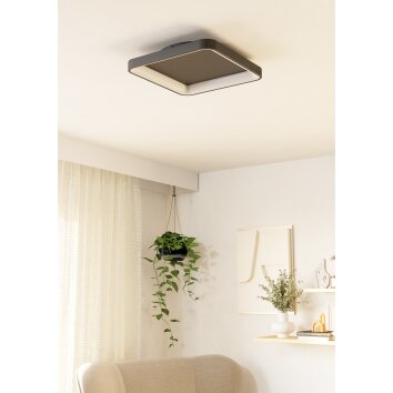 Illuminazione Eglo LORETELLO Plafoniera, Applique e plafoniera LED Nero, Telecomando