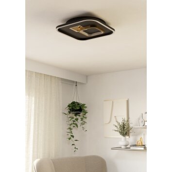 Illuminazione Eglo TIRIOLO Plafoniera, Applique e plafoniera LED Oro, Nero