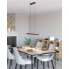 Illuminazione Eglo LISCIANA Lampadario a sospensione LED Grigio