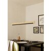 Illuminazione Eglo CAMACHO Lampadario a sospensione LED Marrone, Nero