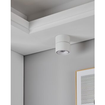 Illuminazione Eglo BOHOYO Plafoniera, Faretto da soffitto LED Bianco Illuminazione Eglo BOHOYO Plafoniera, Faretto da soffitto LED Bianco