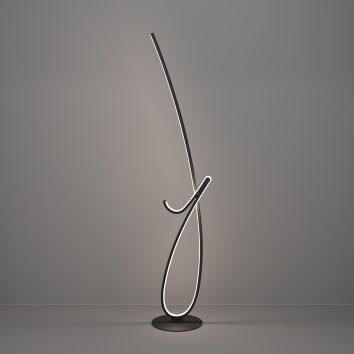 Illuminazione Eglo CARDONCITO Lampada da terra LED Nero, Cambia colore