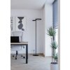 Illuminazione Eglo EGLO Lampada da terra LED Nero