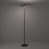 Illuminazione Eglo EGLO Lampada da terra LED Nero