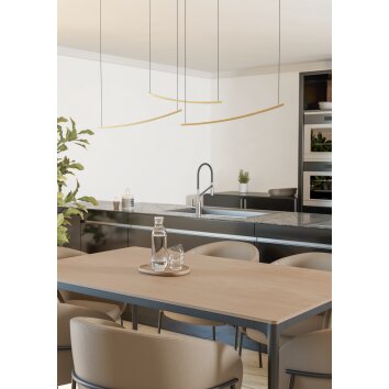 Illuminazione Eglo VILLEGGI Lampadario a sospensione LED Ottone, Cambia colore