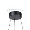 Illuminazione Eglo MEZZOMONTE Lampadario a sospensione LED Nero, Telecomando