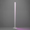 Illuminazione Eglo BOLOGNANO-Z Lampada da terra LED Grigio, Cambia colore