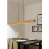 Illuminazione Eglo ANCHORENA-Z Lampadario a sospensione LED Marrone, Nero, Cambia colore