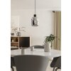 Illuminazione Eglo MOLOCHIO-Z Lampadario a sospensione LED Nero, Cambia colore