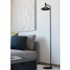 Illuminazione Eglo CONOMAVILLA-Z Lampada da terra LED Nero, Cambia colore