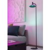 Illuminazione Eglo CONOMAVILLA-Z Lampada da terra LED Nero, Cambia colore