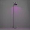 Illuminazione Eglo CONOMAVILLA-Z Lampada da terra LED Nero, Cambia colore