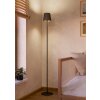 Illuminazione Eglo FIORANA Lampada da terra Nero