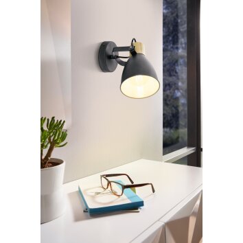 Illuminazione Eglo COSWARTH Plafoniera, Faretto da soffitto, Applique Antracite, Marrone, Bianco opale