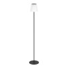 Illuminazione Eglo SCORDIANO-L Lampada da terra LED Nero, Cambia colore