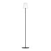 Illuminazione Eglo SCORDIANO-L Lampada da terra LED Nero, Cambia colore