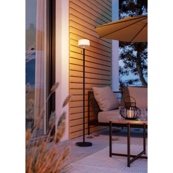 Illuminazione Eglo MONTAPALMA-L Lampada da terra LED Nero, Telecomando, Cambia colore