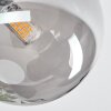 Chehalis Plafoniera, Lampada a sfera Grigio fumo, 4-Luci