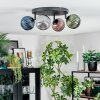 Chehalis Plafoniera, Lampada a sfera Blu, Verde, Ramato, Grigio fumo, 4-Luci