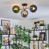 Gastor Plafoniera, Lampada a sfera Oro, Nero, 3-Luci