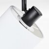 Bassagoda Plafoniera, Faretto da soffitto Nero, 1-Luce