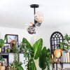 Chehalis Plafoniera, Lampada a sfera 33 cm Ambrato, Chiaro, Grigio fumo, 4-Luci