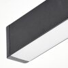 Tarin Plafoniera LED Nero, 1-Luce, Cambia colore