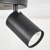 Foren Plafoniera, Faretto da soffitto LED Nero, 3-Luci, Cambia colore Foren Plafoniera, Faretto da soffitto LED Nero, 3-Luci, Cambia colore