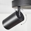 Foren Plafoniera, Faretto da soffitto LED Nero, 3-Luci, Cambia colore Foren Plafoniera, Faretto da soffitto LED Nero, 3-Luci, Cambia colore