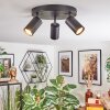Foren Plafoniera, Faretto da soffitto LED Nero, 3-Luci, Cambia colore Foren Plafoniera, Faretto da soffitto LED Nero, 3-Luci, Cambia colore