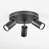 Foren Plafoniera, Faretto da soffitto LED Nero, 3-Luci, Cambia colore Foren Plafoniera, Faretto da soffitto LED Nero, 3-Luci, Cambia colore