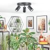 Foren Plafoniera, Faretto da soffitto LED Nero, 3-Luci, Cambia colore Foren Plafoniera, Faretto da soffitto LED Nero, 3-Luci, Cambia colore