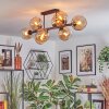 Koyoto Plafoniera, Lampada a sfera Ambrato, 8-Luci