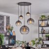 Koyoto Lampadario a sospensione, Lampada a sfera, Lampada a sospensione Chiaro, Grigio fumo, 5-Luci