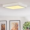 Finsrud Illuminazione bagno, Plafoniera, Panel LED Bianco, 1-Luce