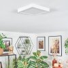 Finsrud Illuminazione bagno, Plafoniera, Panel LED Bianco, 1-Luce