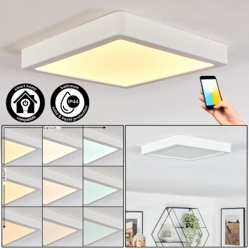 Finsrud Illuminazione bagno, Plafoniera, Panel LED Bianco, 1-Luce Finsrud Illuminazione bagno, Plafoniera, Panel LED Bianco, 1-Luce