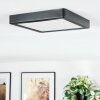 Finsrud Illuminazione bagno, Plafoniera, Panel LED Nero, 1-Luce Finsrud Illuminazione bagno, Plafoniera, Panel LED Nero, 1-Luce