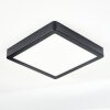 Finsrud Illuminazione bagno, Plafoniera, Panel LED Nero, 1-Luce Finsrud Illuminazione bagno, Plafoniera, Panel LED Nero, 1-Luce