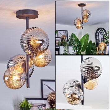 Chehalis Plafoniera, Lampada a sfera Ambrato, Grigio fumo, 4-Luci