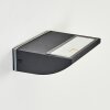 Damor Lampada da parete per esterno, Applique LED Nero, 1-Luce Damor Lampada da parete per esterno, Applique LED Nero, 1-Luce