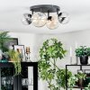 Chehalis Plafoniera, Lampada a sfera Ambrato, Chiaro, Grigio fumo, 4-Luci