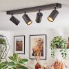 Foren Plafoniera, Faretto da soffitto LED Nero, 4-Luci, Cambia colore Foren Plafoniera, Faretto da soffitto LED Nero, 4-Luci, Cambia colore