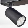Foren Plafoniera, Faretto da soffitto LED Nero, 4-Luci, Cambia colore Foren Plafoniera, Faretto da soffitto LED Nero, 4-Luci, Cambia colore